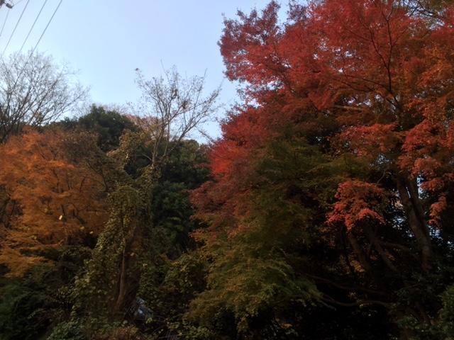 Hotel Umimoto Hakone Exterior foto