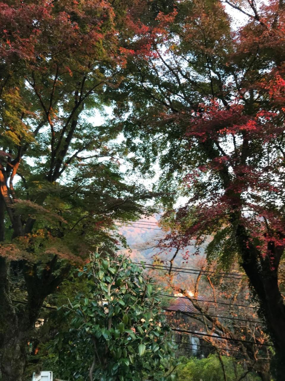 Hotel Umimoto Hakone Exterior foto